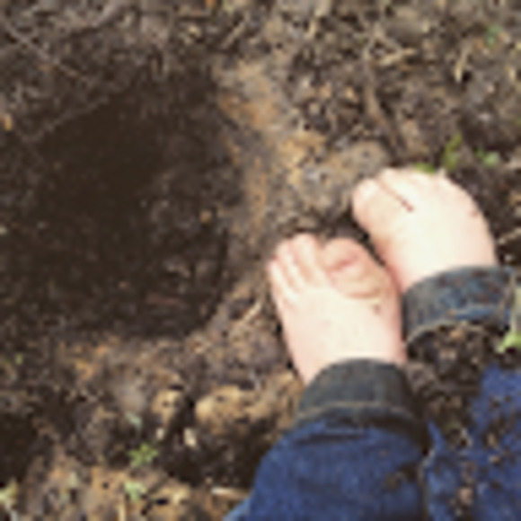 Meet your Posher, Devon - Picture 1 of 1